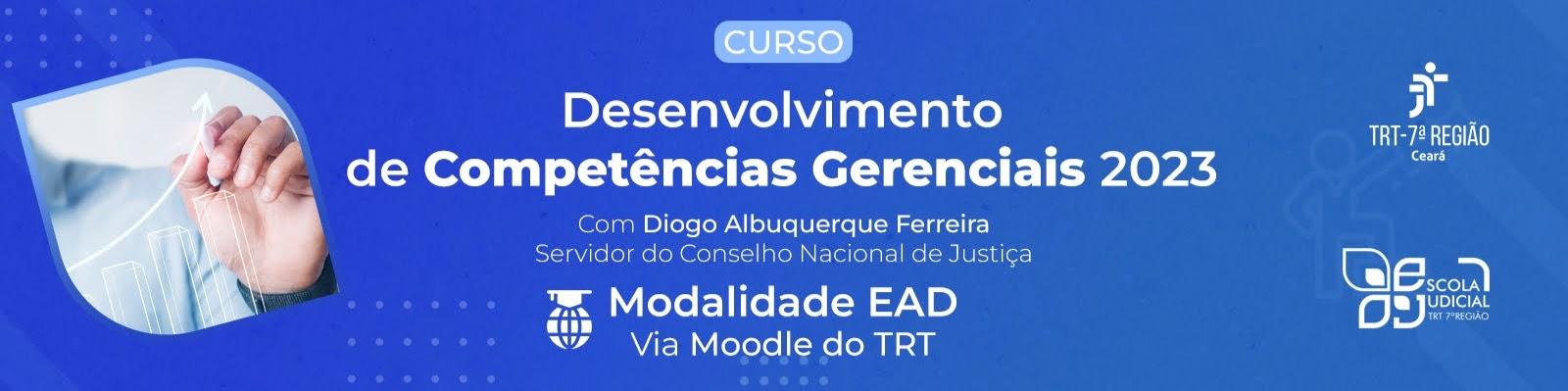 Imagem sobre o Desenvolvimento de Competências Gerenciais 2023